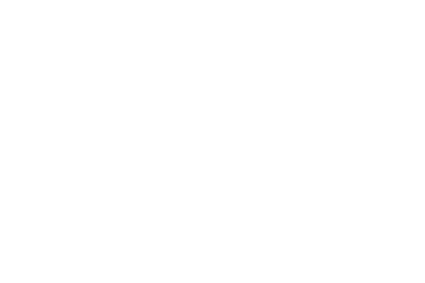 logo dhl