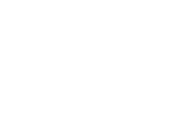 logo fstt
