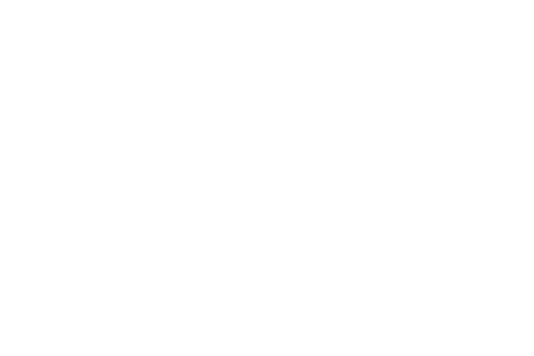 logo nagel